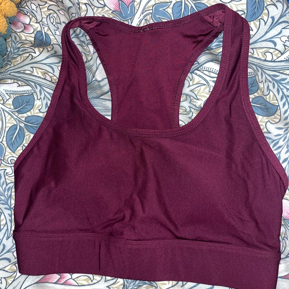 Fabletics Pocket Sports Bra